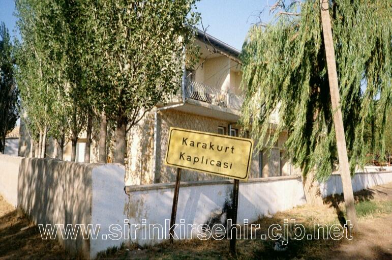 karakurt02.JPG