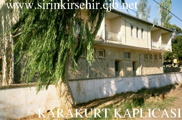 karakurt03.JPG