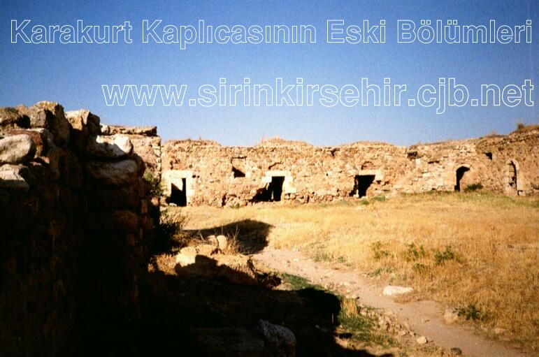 karakurt05.JPG