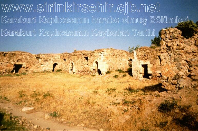 karakurt06.JPG