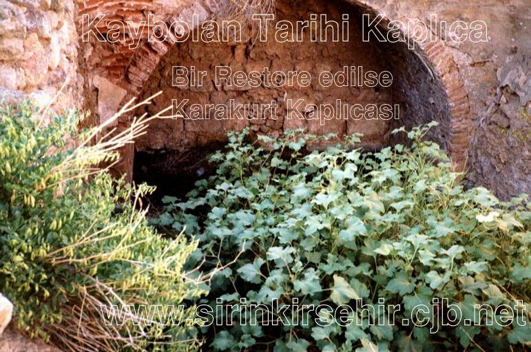 karakurt07.JPG