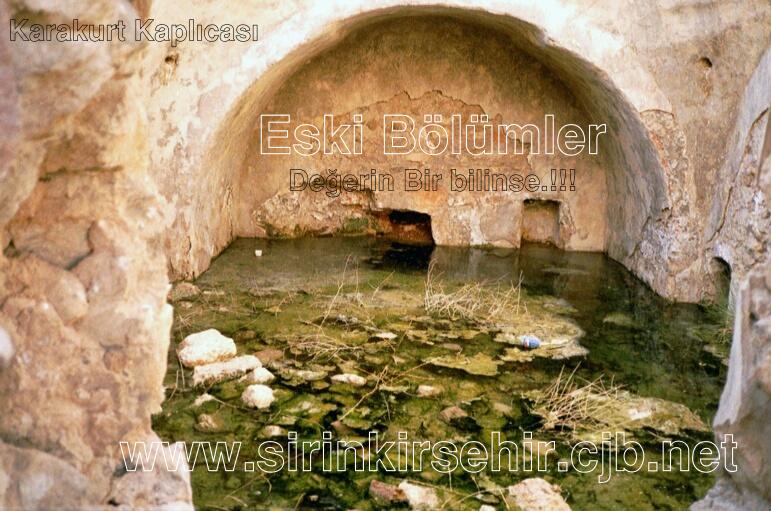 karakurt08.JPG