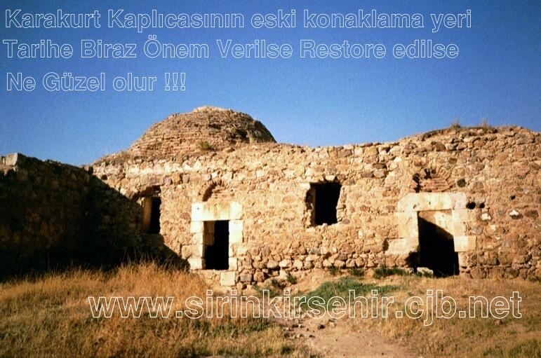 karakurt09.JPG