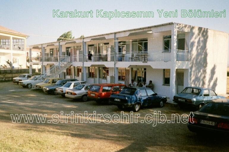 karakurt11.JPG