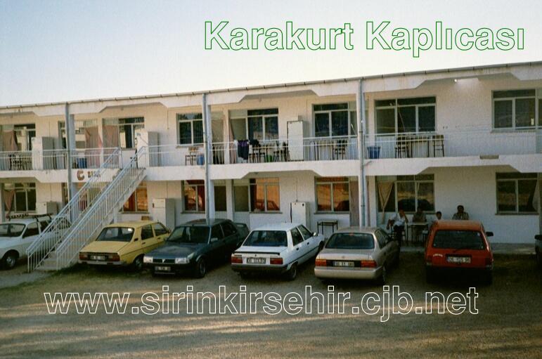 karakurt12.JPG